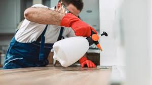 Professional Pest control in Millsboro, DE